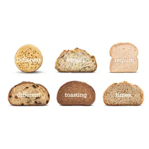 Sage the Toast Select™ Luxe Sea Salt Toaster